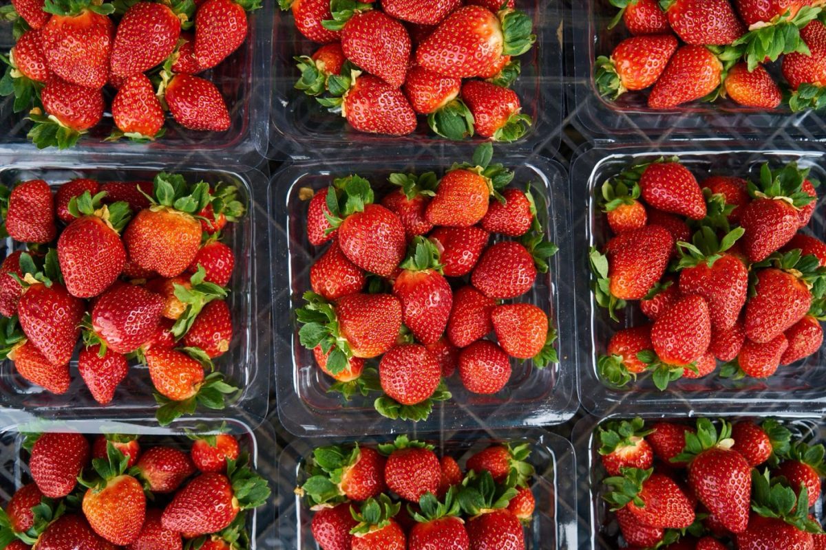 Meilleures pratiques d'emballage pour produits frais