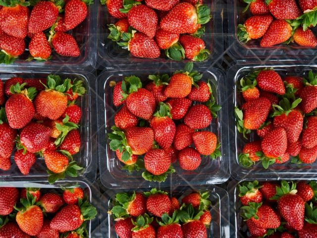 Meilleures pratiques d’emballage pour produits frais