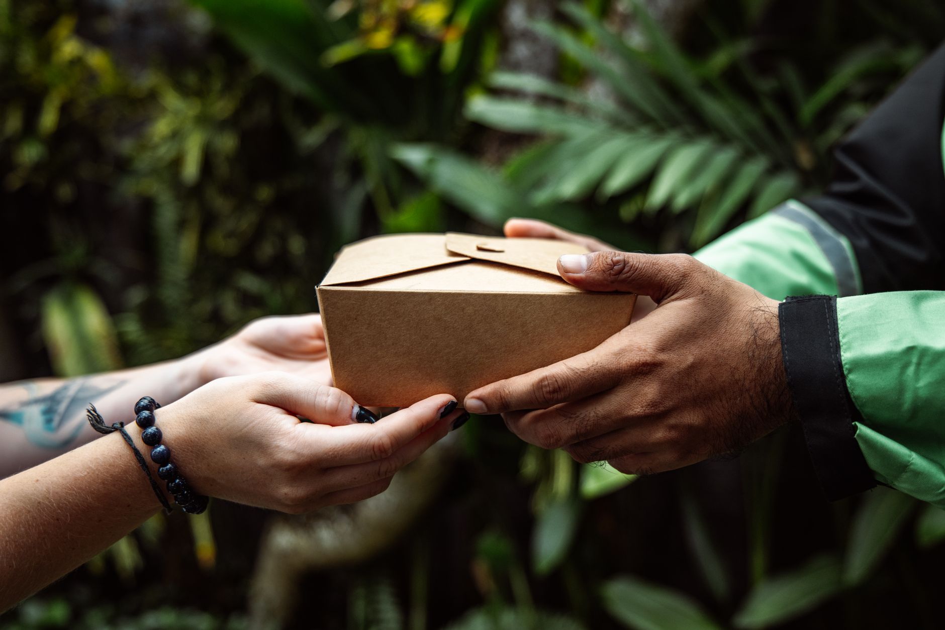 Emballages éco‑responsables pour livraison alimentaire